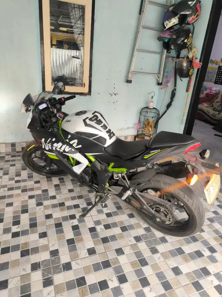 Ninja 250 Mono Low KM Pajak Panjang