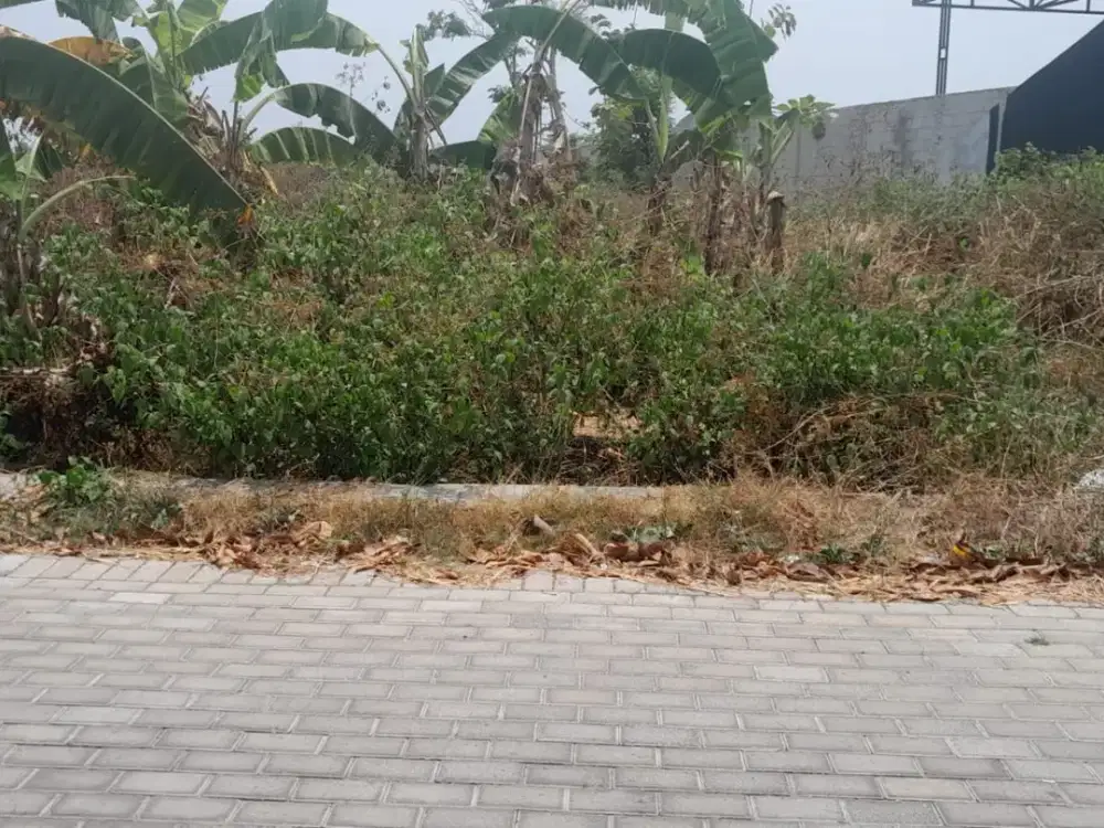 Dijual Tanah Luas 959 Meter Persegi Lokasi Kebonarum - Klaten
