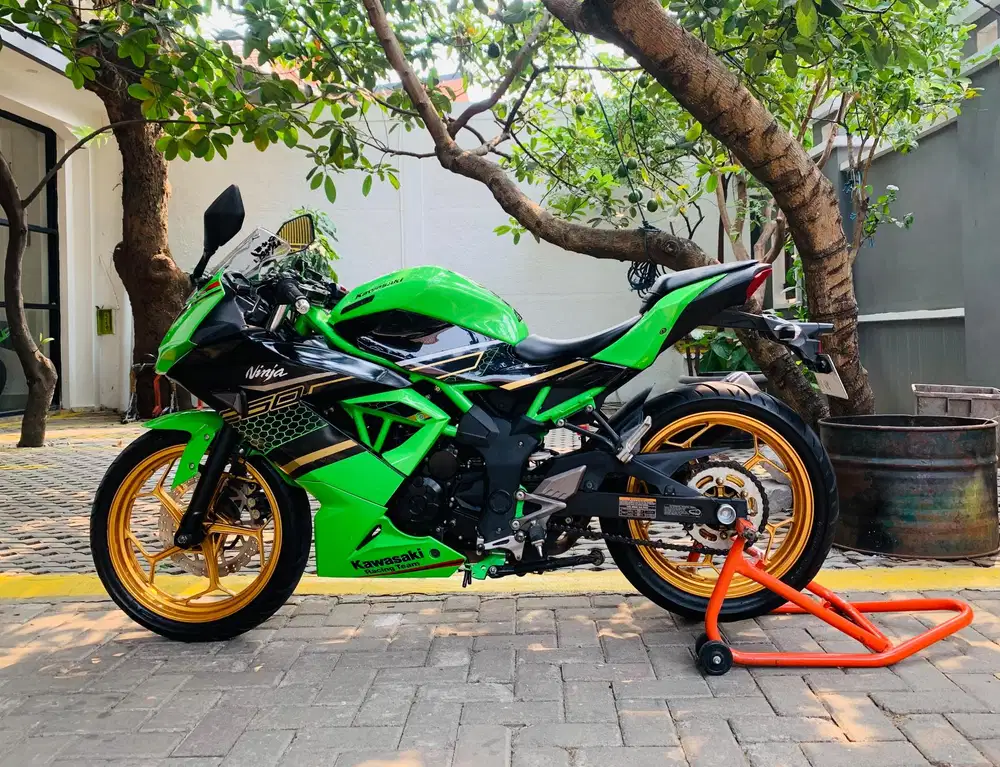 Kawasaki Ninja 250 sl mono