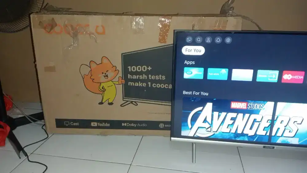 Tv coocoa 32 in