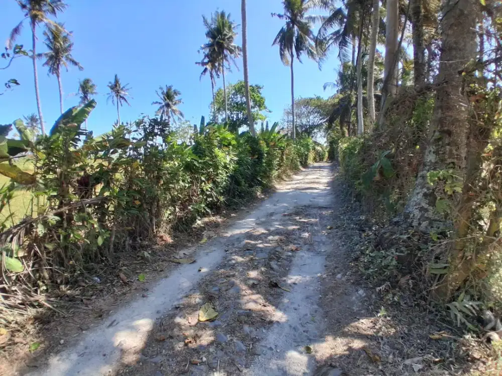 Dijual Lahan dengan View Sawah Terasering Dekat Pantai Balian
