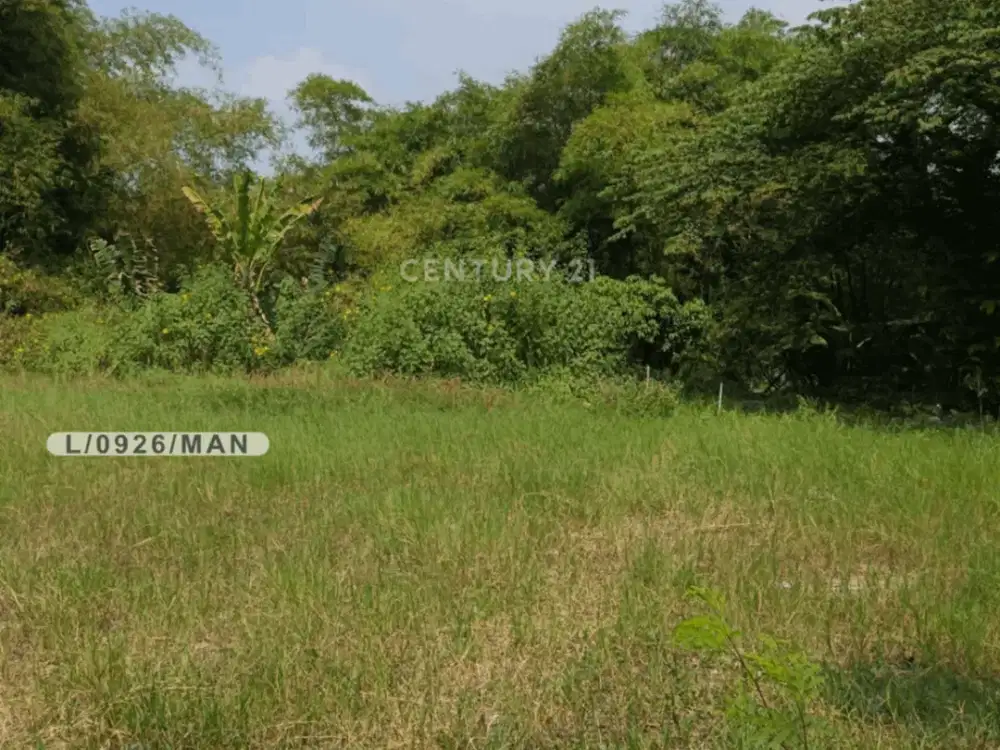 Tanah Datar Siap Bangun Strategis Di Cipatik Soreang Bandung