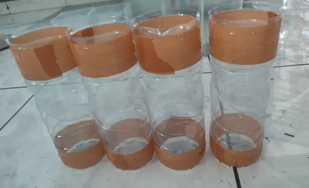 Botol aqua cupang