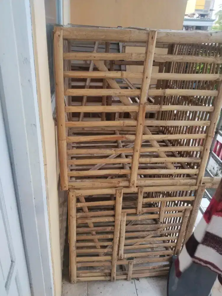 Kandang ayam baru