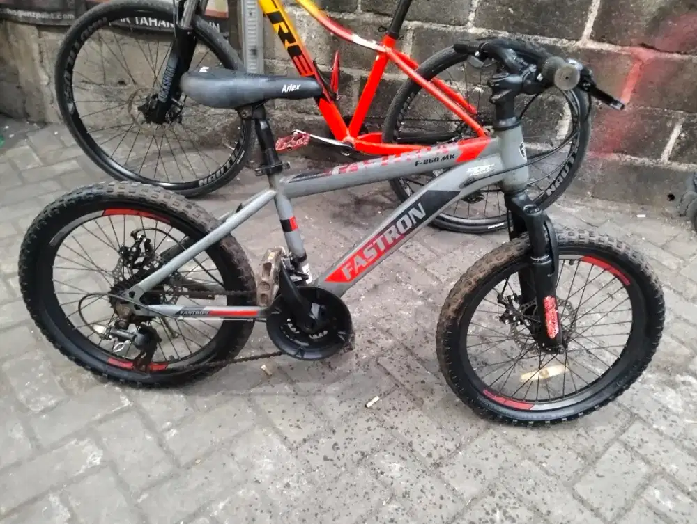 Jual mtb anak merk pastron UK 20 in