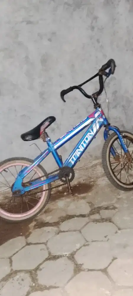 Jual sepeda anak anak
