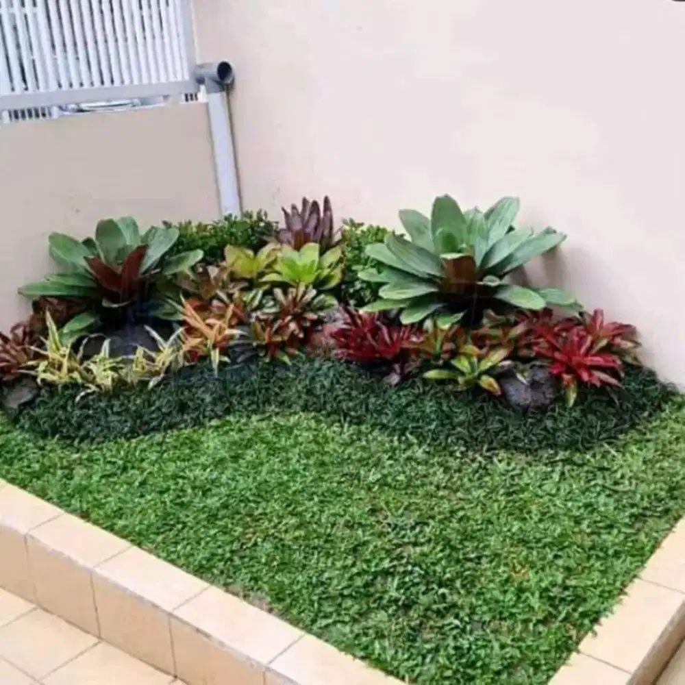 Tukang taman / jasa pembuatan taman