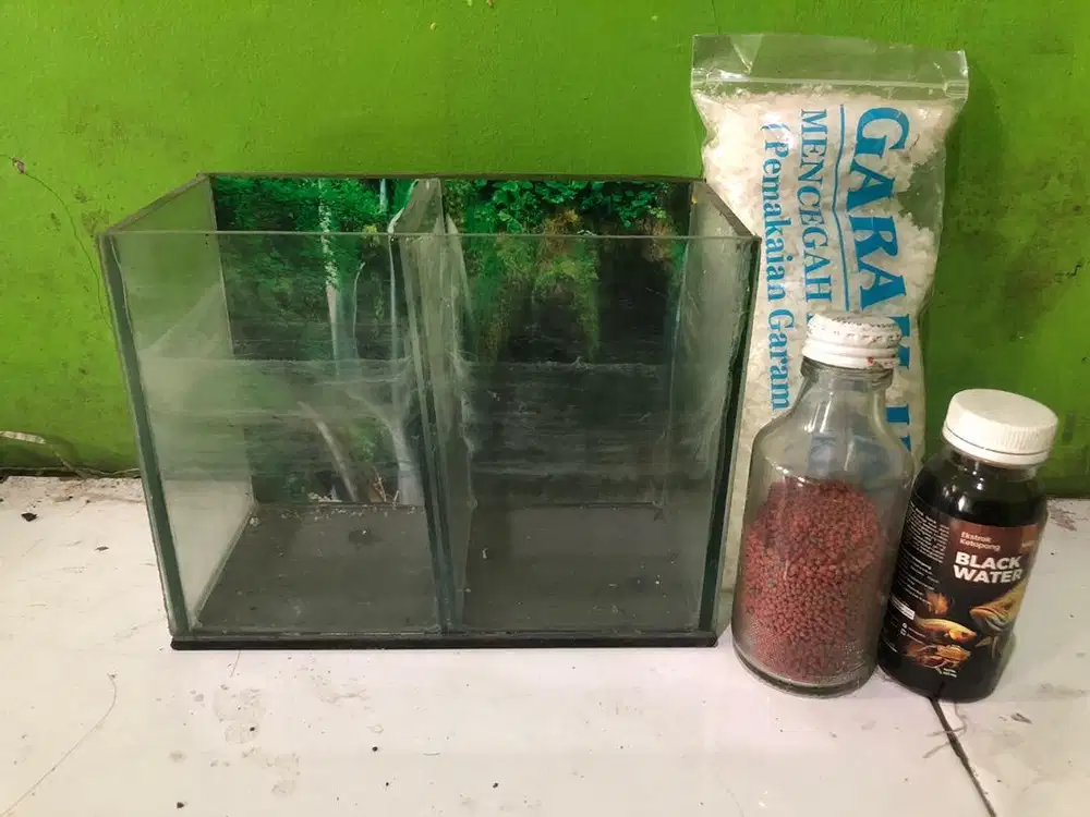 JUAL AQUARIUM KECIL UNTUK IKAN CUPANG