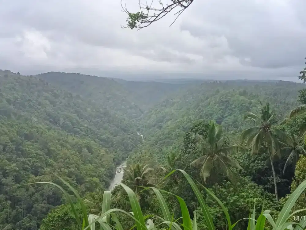 Dijual Tanah dengan View Bukit dan Sungai Balian yang Super Indah