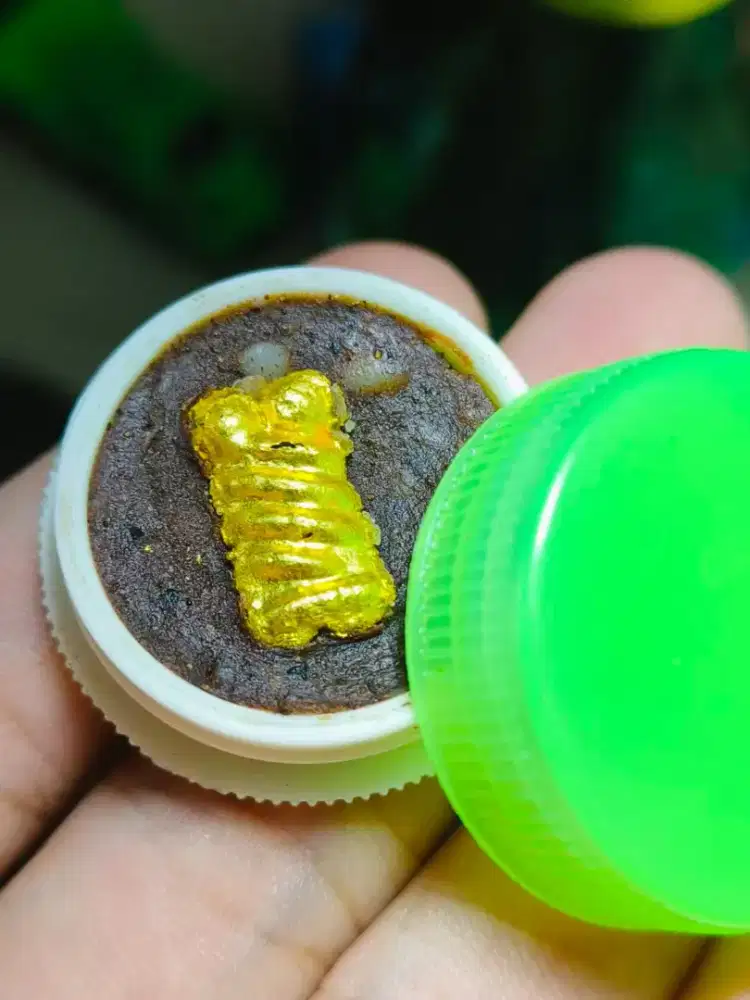 古巴匹东， incool燕通膏