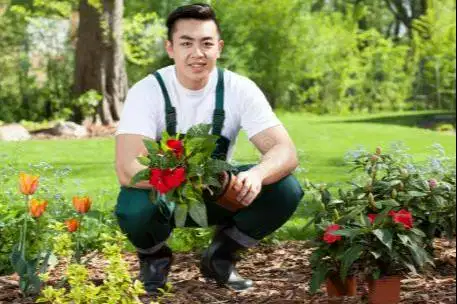 Landscaper/ Gardener