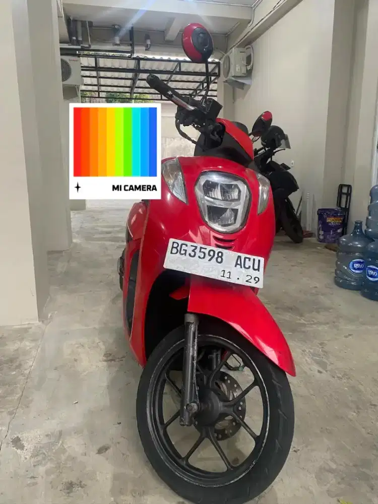 Honda Genio 2019