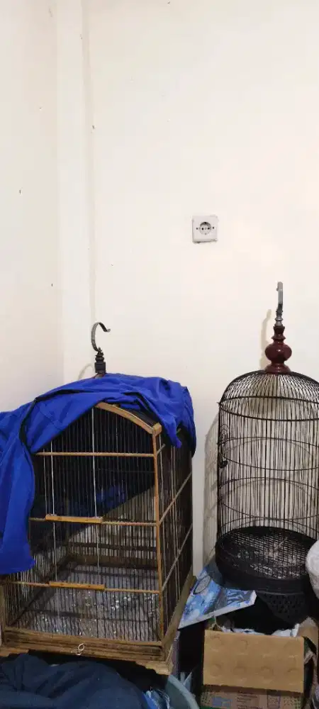 Bu 2 sangkar dari pada tidak pakai