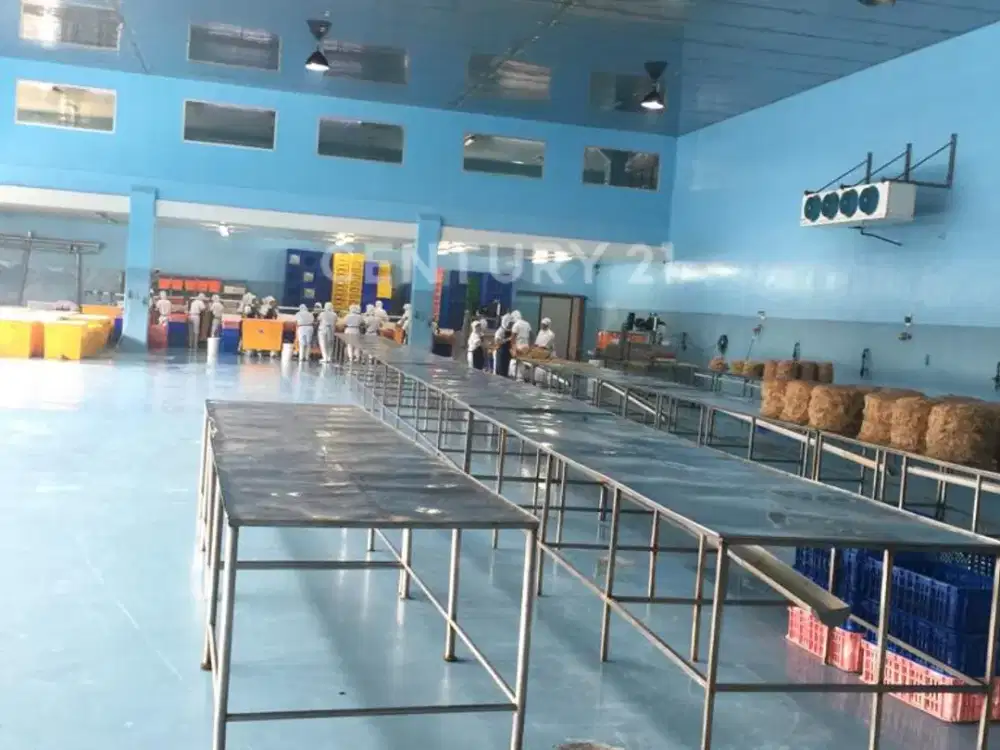 Pabrik Cold Storage Di Jl Lintang Area Sentul Bogor Jawa Barat