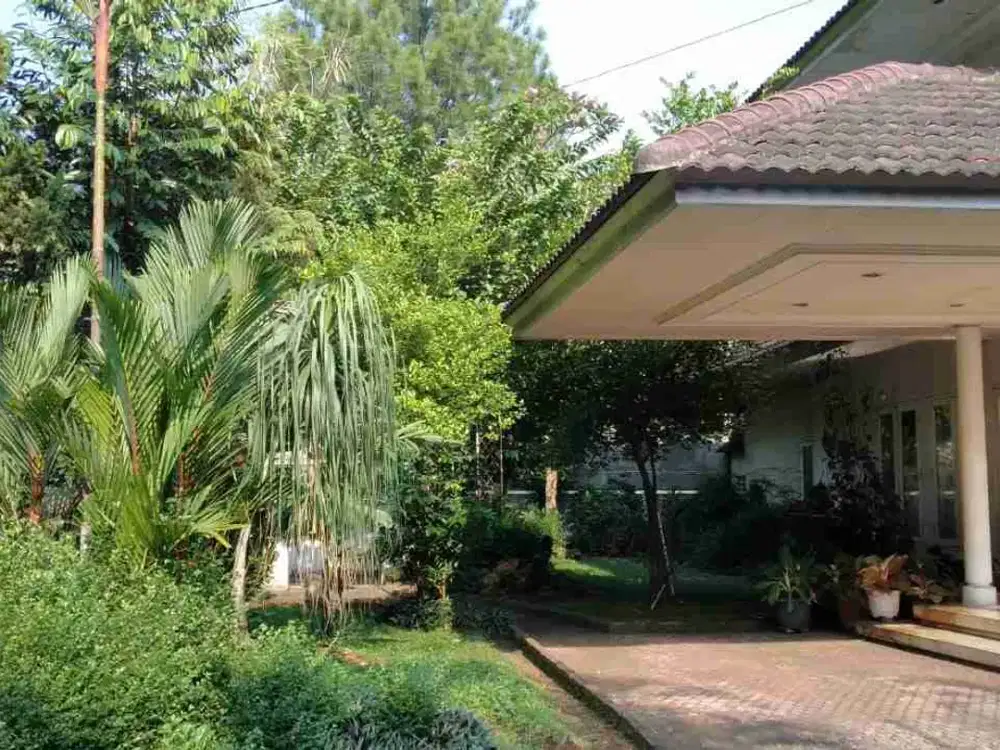 Di juak murah rumah jakarta selatan