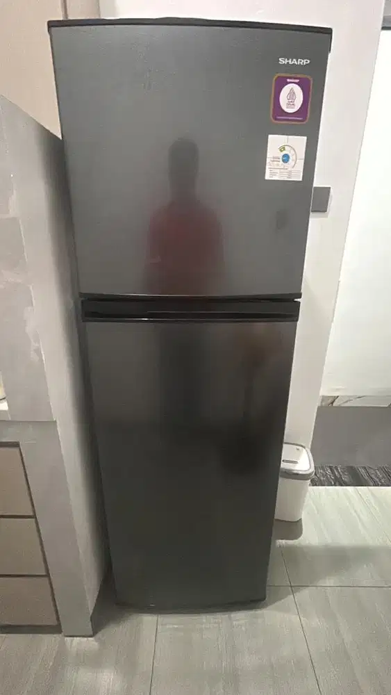 Kulkas sharp 2pintu