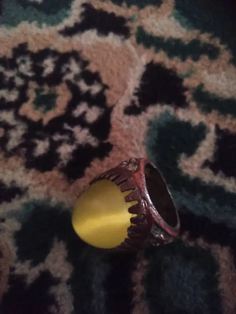 Bacan kuning aceh langka berpendar dari berbagai sudut view