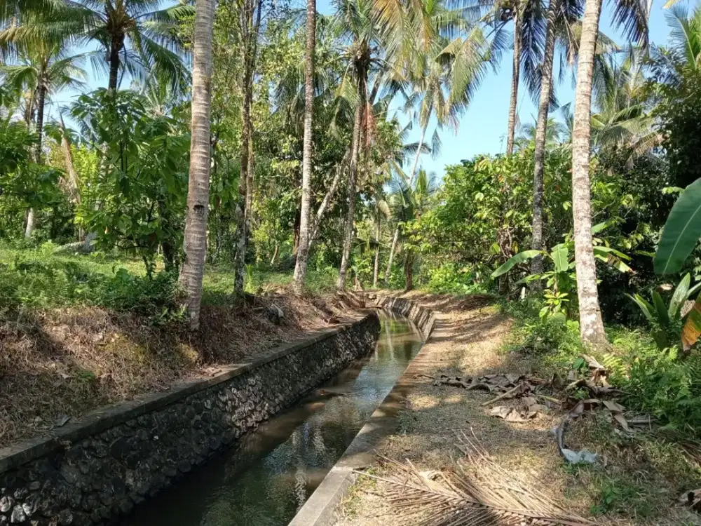 Dijual Tanah Kebun Produktif View Perbukitan Dekat Pantai Balian