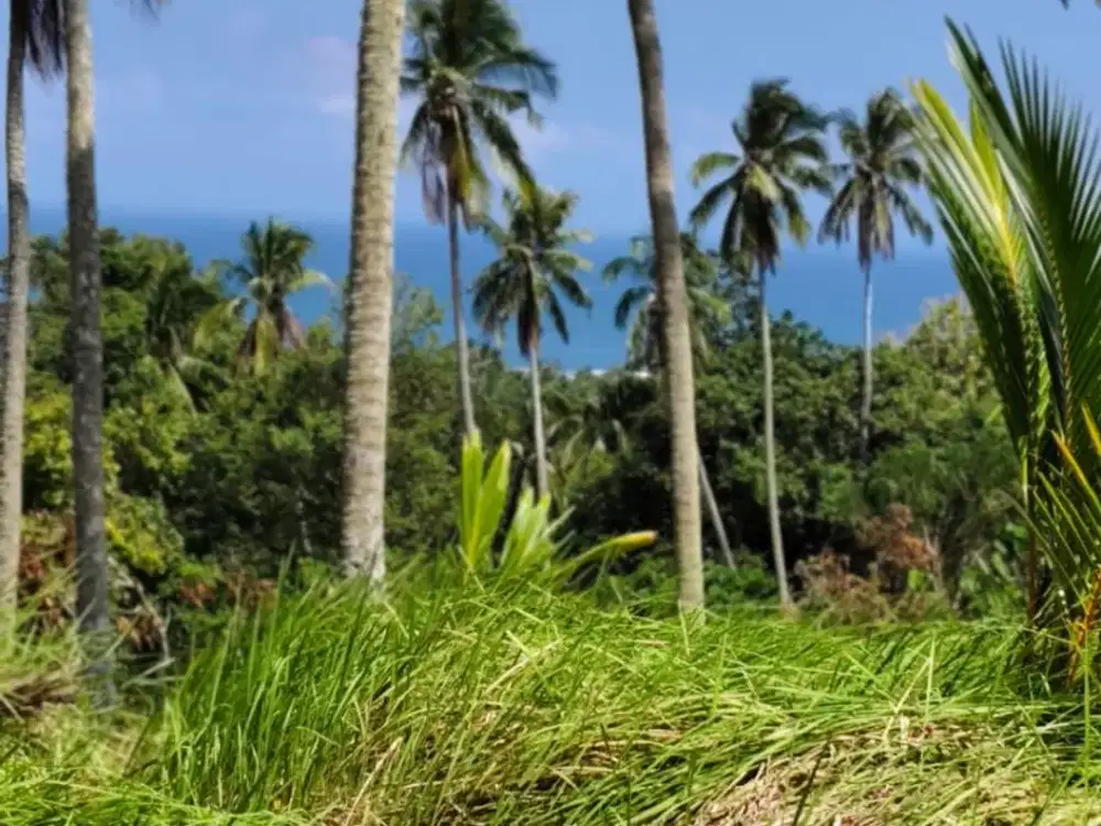 Dijual Lahan di Dekat Pantai Balian dengan View yang Indah