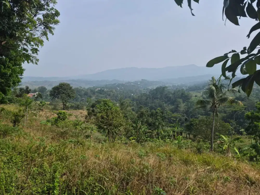 Dijual Tanah 8.000 m2 di Sukamakmur, Bogor