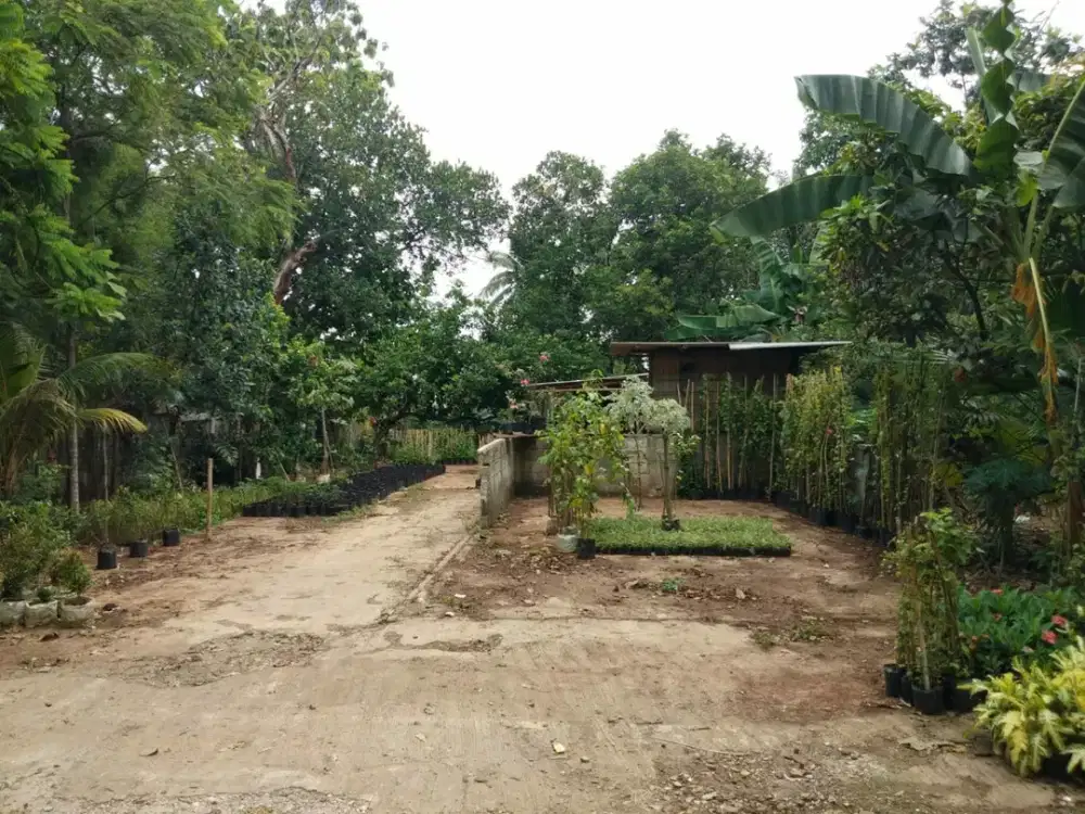 Tanah Luas 2.000 m² di Parung – Cocok untuk Investasi & Pengembangan
