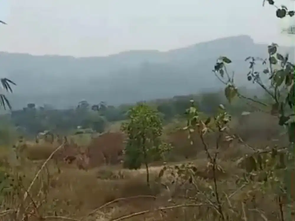 Dijual Tanah 2.000 m2 di Sukamakmur, Bogor