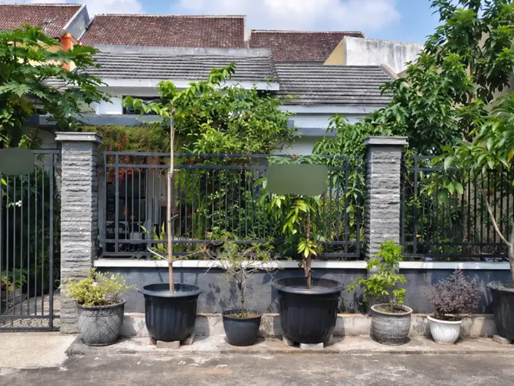 Butuh Cepat Laku Dijual Rumah di Jl Teluk Teluk Malang Dekat Arjosari