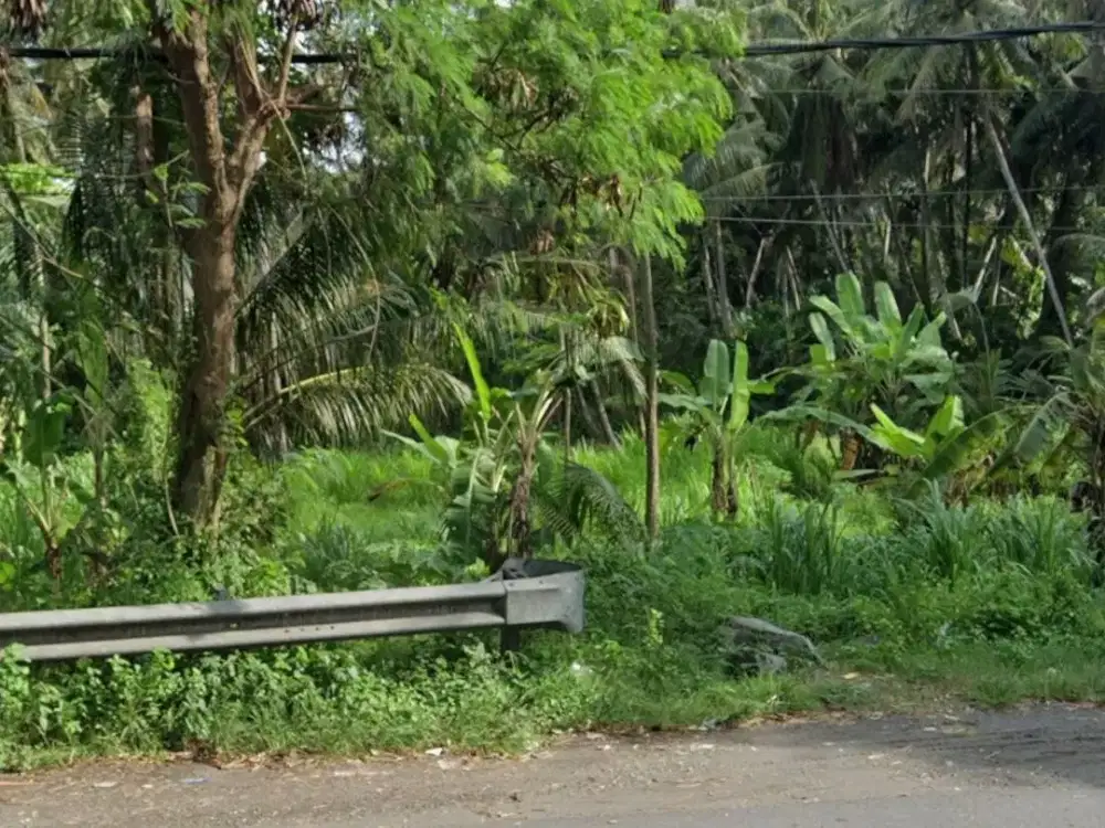DIJUAL TANAH PREMIUM GIANYAR