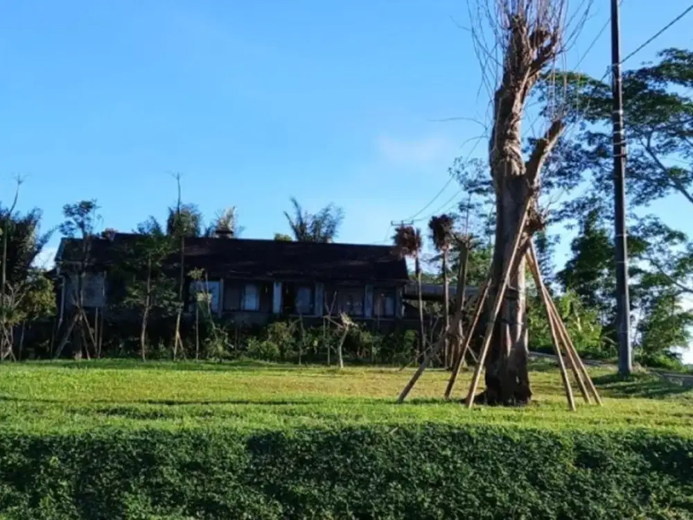 LAND FOR SALE
DANAU TAMBLINGAN – MUNDUK
