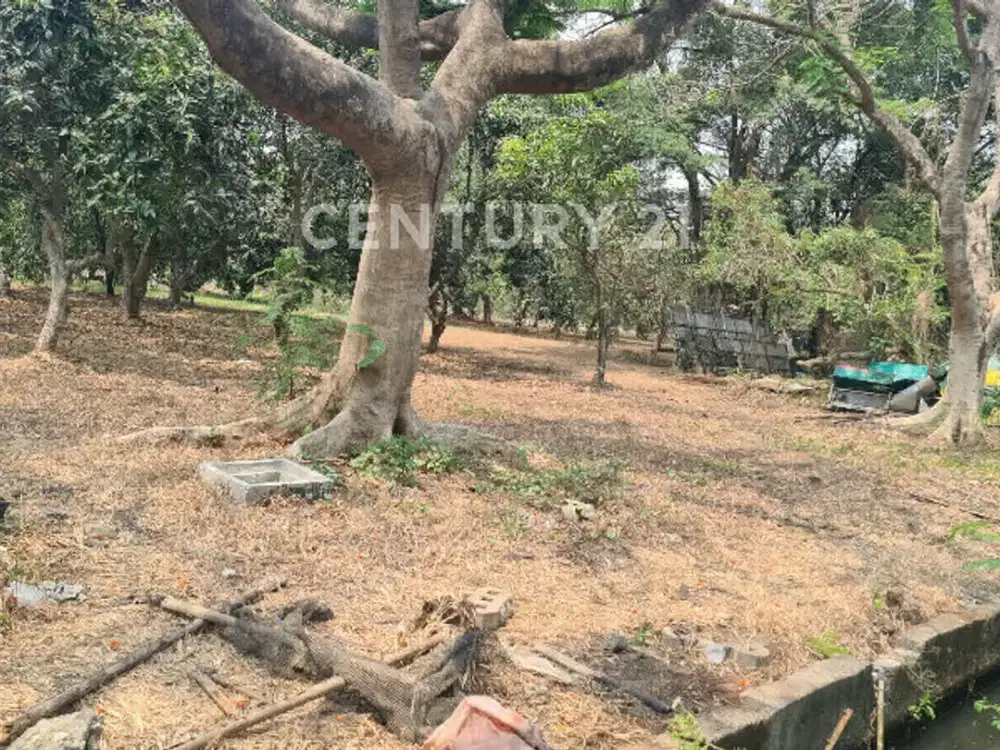 Kavling  Di Golf Jababeka Dijual Dengan Harga Murah