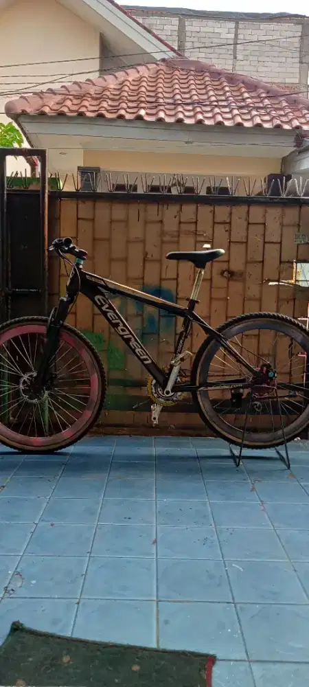 MTB Evergreen 570