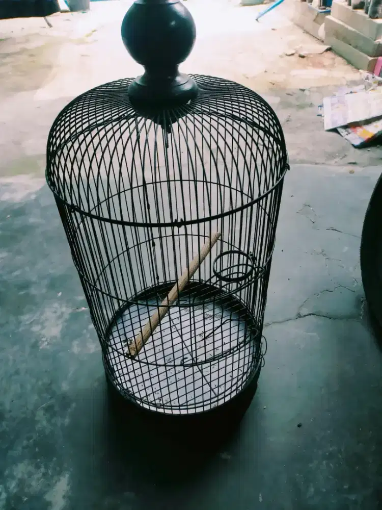 Kandang burung besi,keren