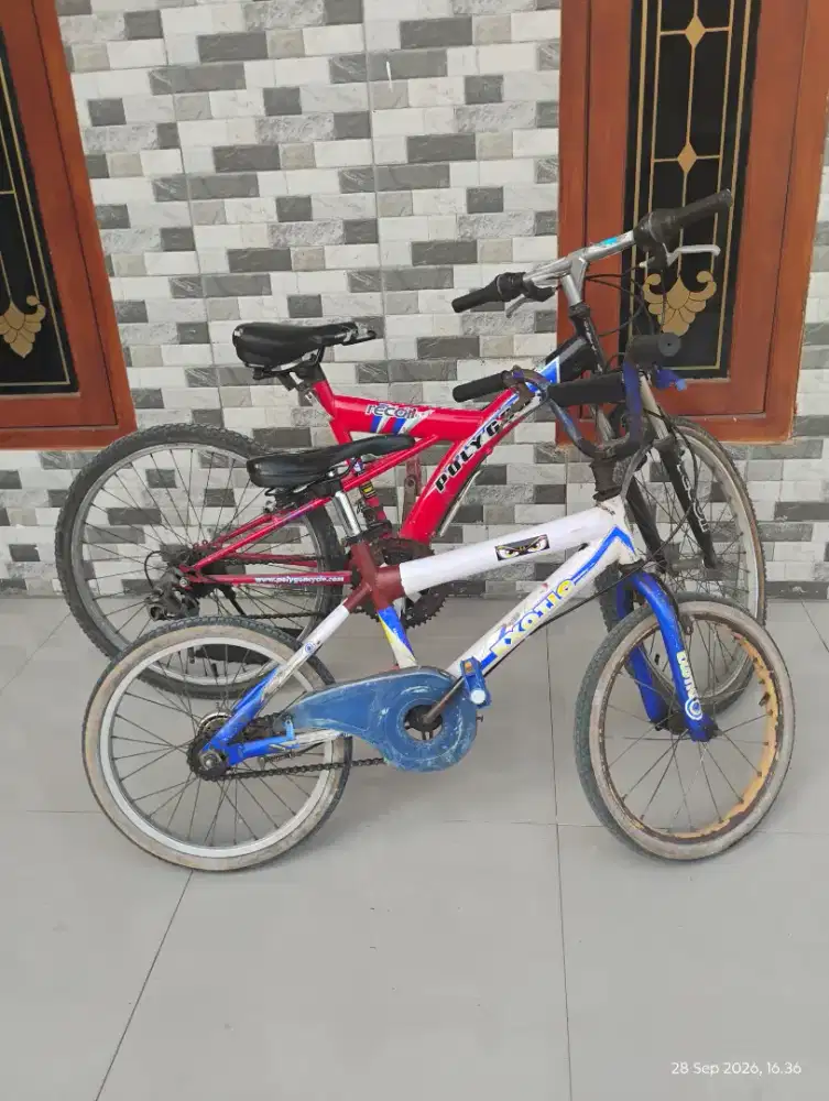 Sepeda MTB Polygon Recoil 18 speed
