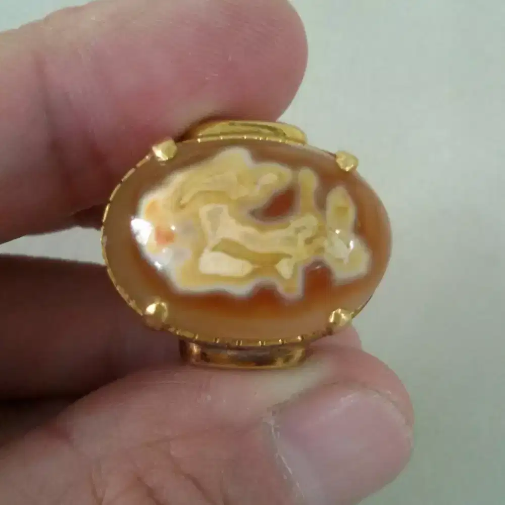 Cincin Akik Gambar Ikan