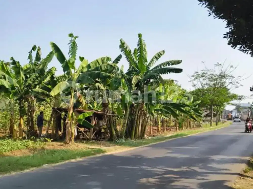 Dijual Tanah Kawasan Industri Cikarang Barat