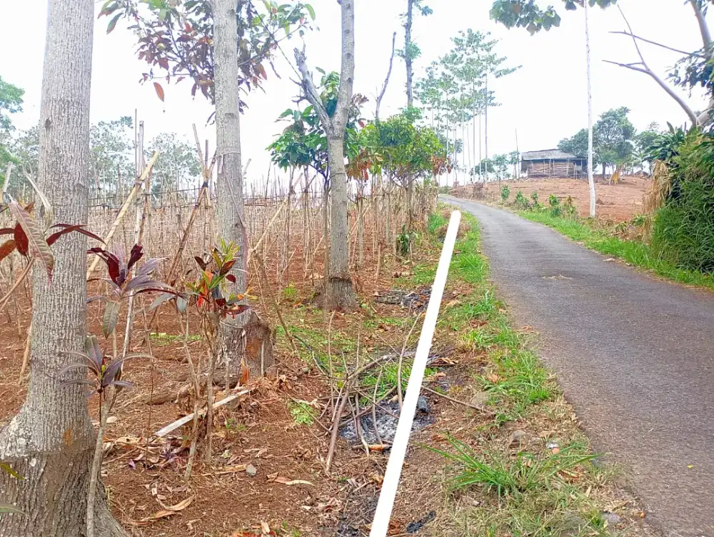 JUAL TANAH DI PANANJUNG SOREANG VIEW KOTA BANDUNG