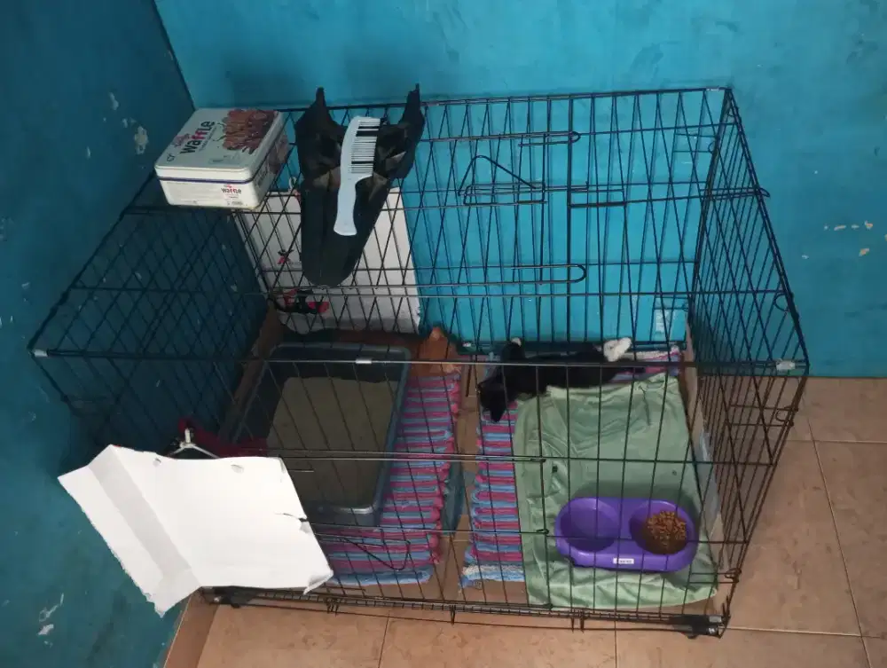 Kandang kucing jumbo
