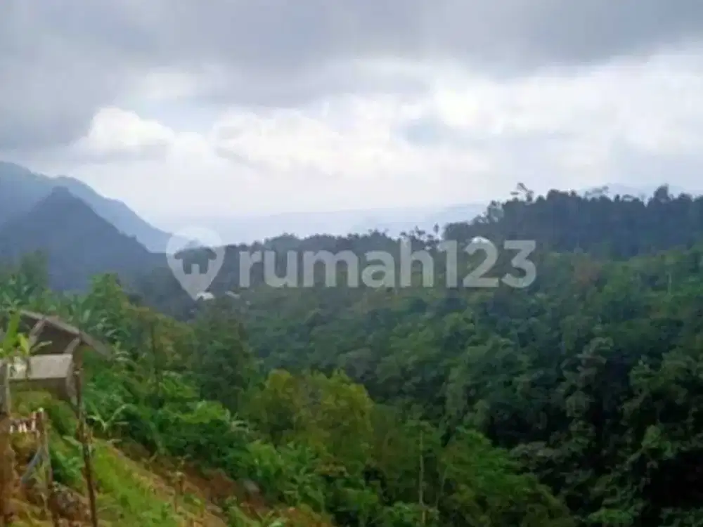 Tanah di Buleleng Bali 651 Are , Kawasan Wisata, Jalan Raya Utama