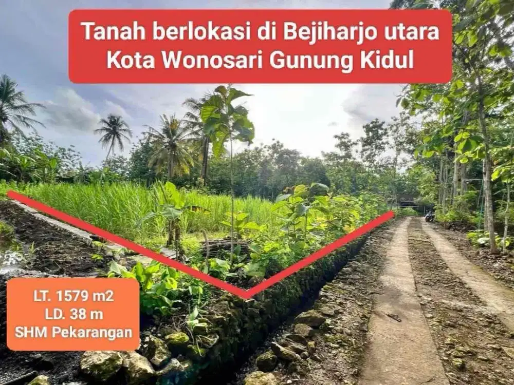 Jual tanah pekarangan termurah di Wisata Goa Pindul Bejiharjo Karangmojo Gunungkidul shmp 120 rb permeter
