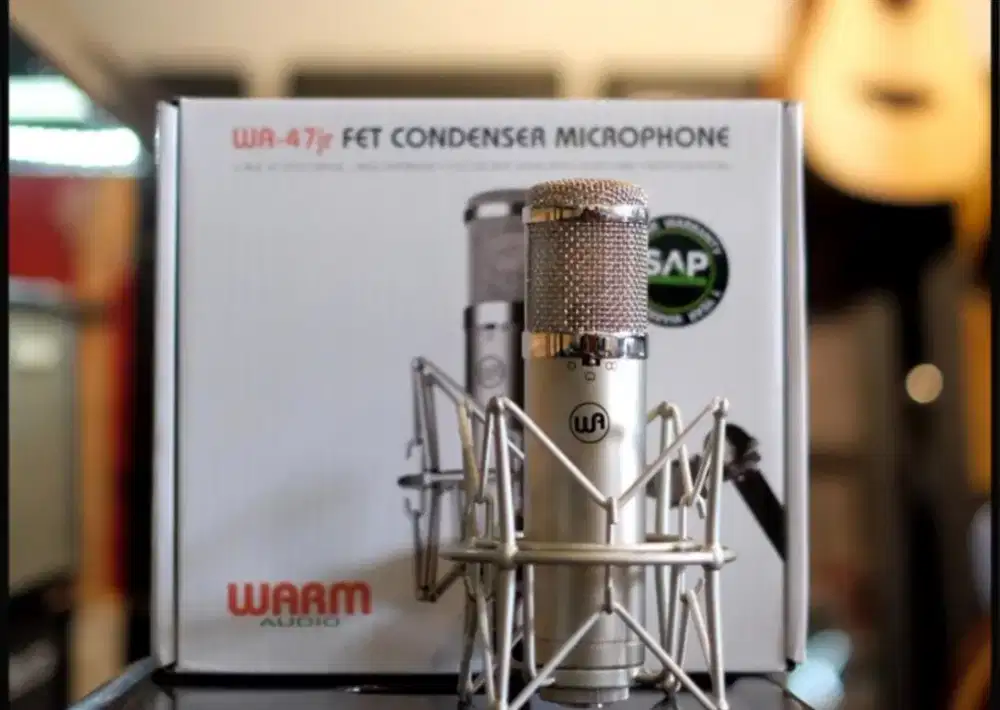 MIC CONDENSER (Warm Audio)