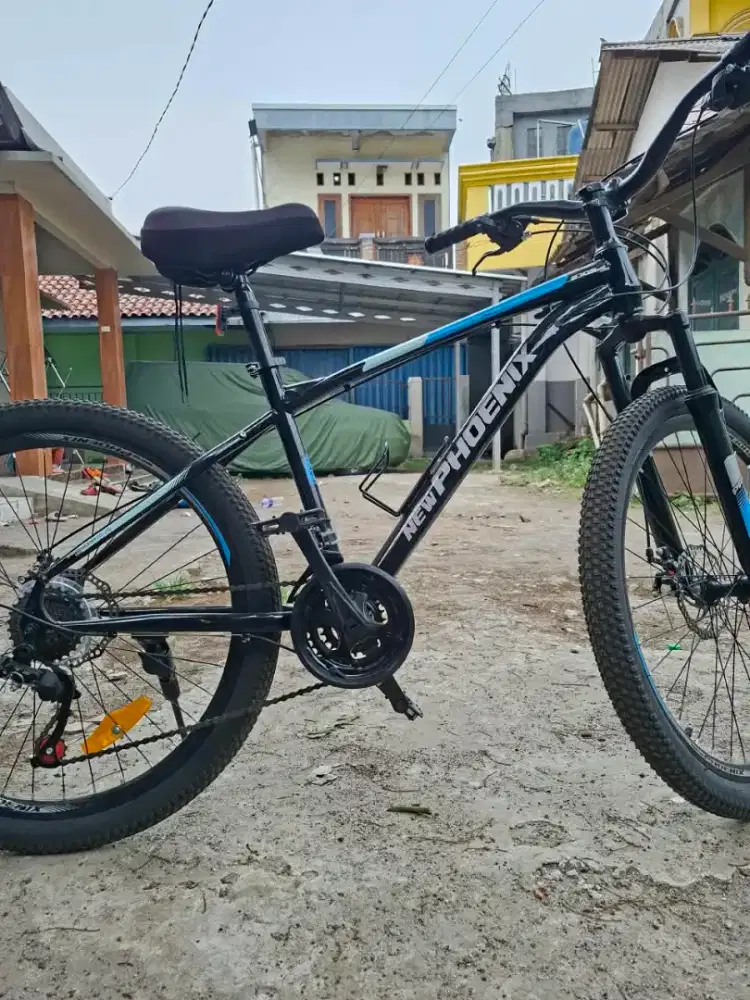 New Pheonix 2709