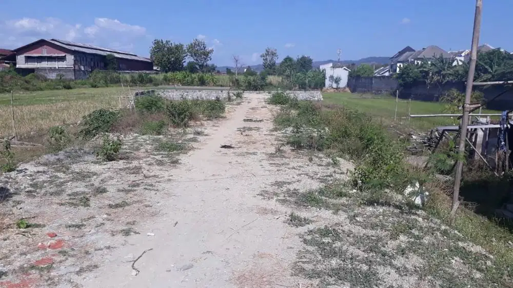 DIJUAL Tanah Balong Potorono