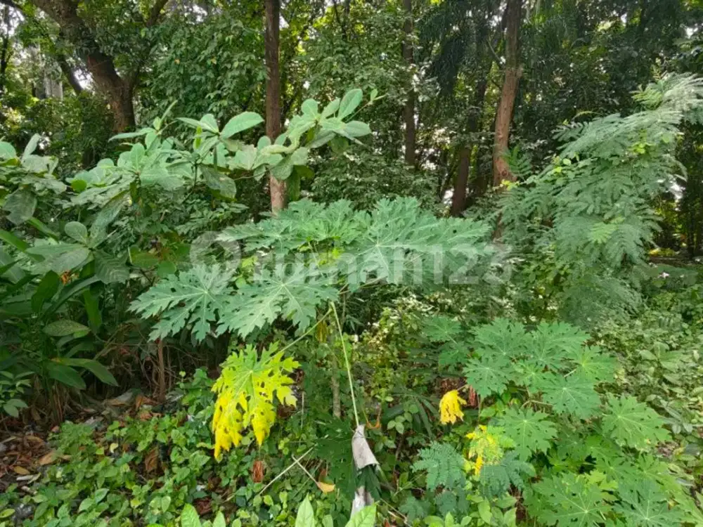 Kavling 8000M² di Kelapa Gading