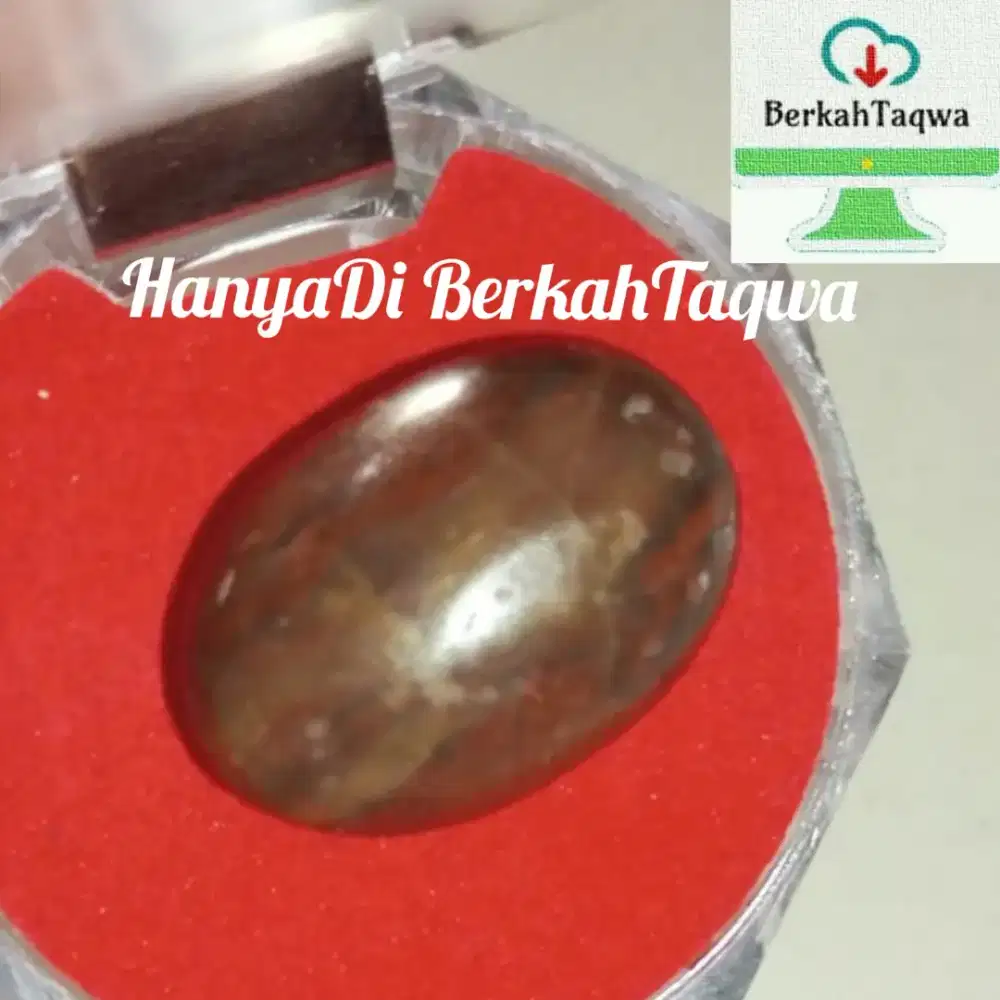 Batu Akik Merah Fosil Kayu Classic Istimewa