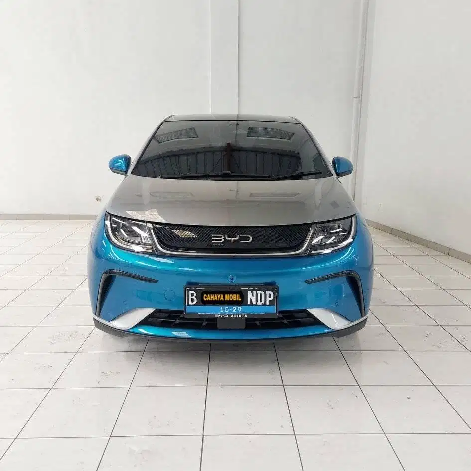 BYD Dolphin Premium 2024