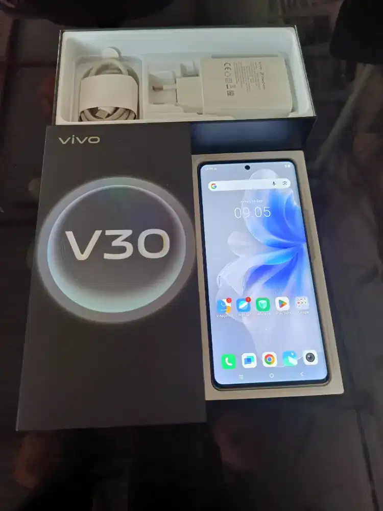 VIVO V30 8/256 seken