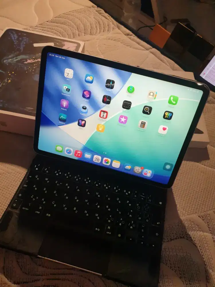 iPad Pro 11 inc 256GB Wifi Cell Include Magic Keyboard