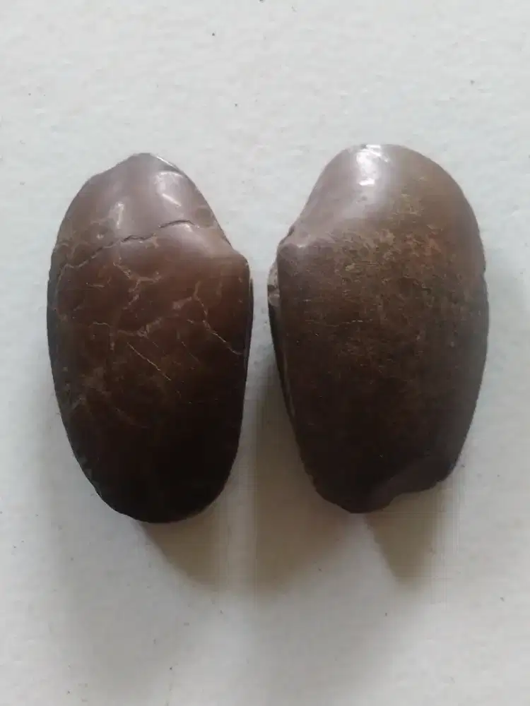 Batu berbentuk hati ayam