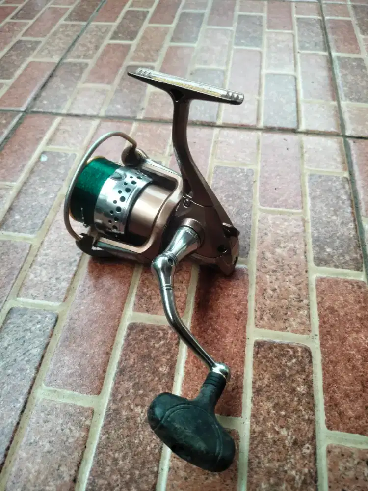 Ryobi zauber lawas 3000