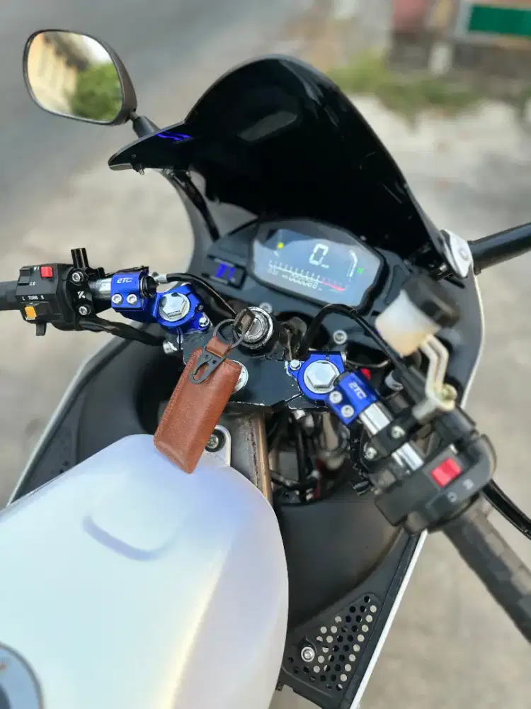 Kawasaki Ninja RR New 2013